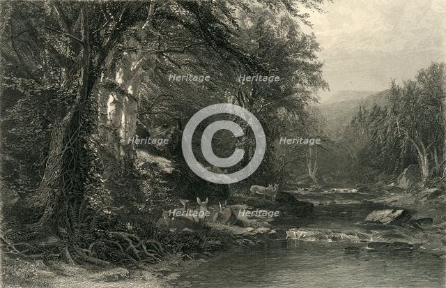 'The Adirondack Woods', 1874.  Creator: Robert Hinshelwood.