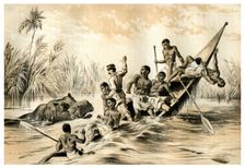 The Adventure with a Hippopotamus 1883