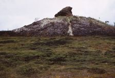 The Agglestone on Godlingstone Heath, Dorset, 20th century. Artist: CM Dixon