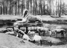 The Alabaster Sphinx, Cairo, Egypt, c1920s