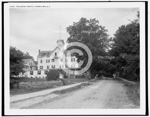 The Alphine i.e. Alpine, Pine Hill, Catskill Mts., N.Y., (1902?). Creator: Unknown.