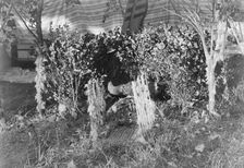 The altar, c1910. Creator: Edward Sheriff Curtis