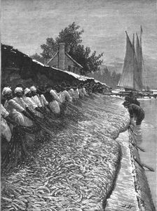 'The American Fisheries Question; Shad Fisheries on the Potomac 1890. Creator: H.W Elliot