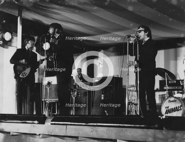 The Animals, Richmond Jazz Festival, London, 1965. Creator: Brian Foskett.