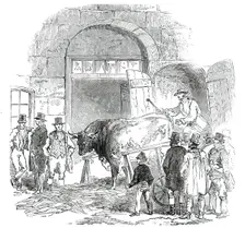 The Annual Exhibition of the Smithfield Club - Bringing in Hereford Ox, 1850. Creator: Unknown