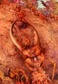 The Ant Lion 1914. DELETE - artist in copyright Creator: Edward Julius Detmold