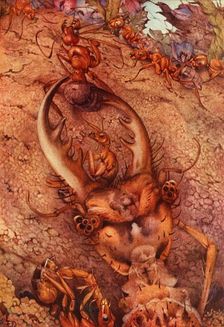 The Ant Lion 1914. DELETE - artist in copyright Creator: Edward Julius Detmold