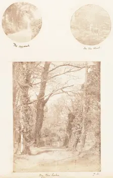 The Approach; In the Wood; By the Lake, 1853-56. Creator: James Knight