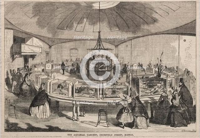 The Aquarial Gardens, Bromfield Street, Boston, 1859. Creator: Winslow Homer (American, 1836-1910).