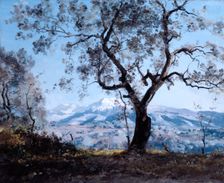 The Area around Menton, close to Roquebrune 1892. Artist: Emmanuel Lansyer