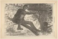 The Army of the Potomac - A Sharp-Shooter on Picket Duty (Harper's Weekly, Vo..., November 15, 1862. Creator: Unknown