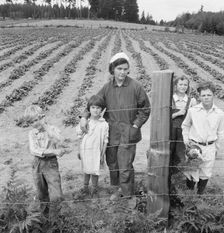 The Arnold children and mother on their newly fenced..., Michigan Hill, Thurston County, 1939. Creator: Dorothea Lange