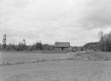 The Arnold farm, seen from road, Michigan Hill, Thurston County, Western Washington, 1939. Creator: Dorothea Lange