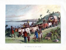The Arrival at Lake Ngami 19th century