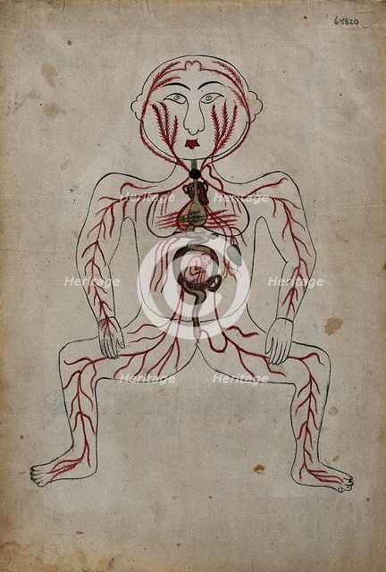 The arteries of the human body with a foetus in the womb, (between 1800 and 1899?). Creator: Unknown.