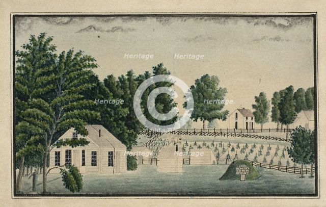 The Artist's Farm and Vineyard, n.d. Creator: Ernst Damitz.