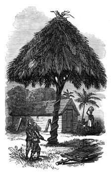 The Ashantee War: the camp whipping-post at Inquabim, 1874. Creator: Unknown