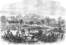 The Ashantee War: the battle-field of Abrakrampa - from a sketch by our special artist, 1874. Creator: Unknown