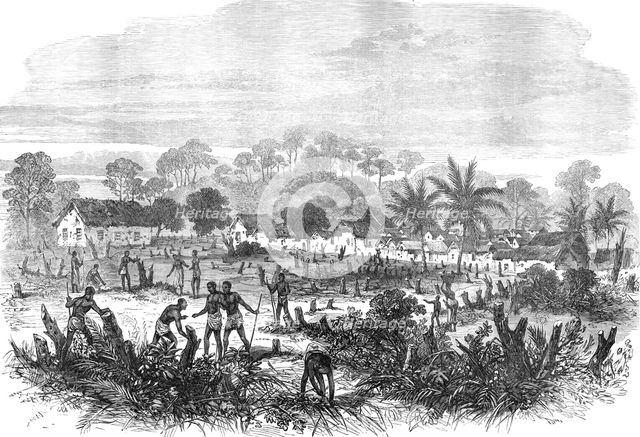 The Ashantee War: the battle-field of Abrakrampa - from a sketch by our special artist, 1874. Creator: Unknown.