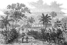 The Ashantee War: Accroful - station on the road to Coomassie,...sketch by our special artist, 1874. Creator: Unknown