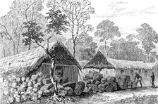 The Ashantee War: Barracoe - station on the road to Coomassie,...sketch by our special artist, 1874. Creator: Unknown