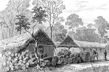 The Ashantee War: Barracoe - station on the road to Coomassie,...sketch by our special artist, 1874. Creator: Unknown