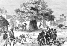 The Ashantee War: fetish tree in village near Cape Coast Castle...sketch by our special artist, 1874 Creator: Unknown