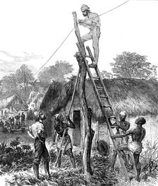The Ashantee War: fixing telegraph wires...sketch by our special artist, 1874. Creator: Unknown