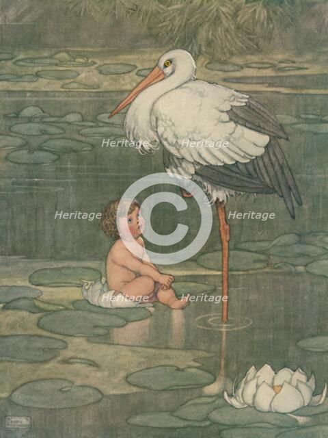 'The Bud Opened Into A Full-Blown Flower', c1930. Artist: W Heath Robinson.