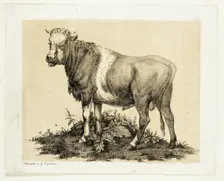 The Bull, October 1815. Creator: Godefroy Engelmann