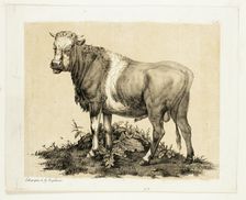 The Bull, October 1815. Creator: Godefroy Engelmann