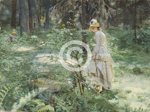 The Bush, 1886.