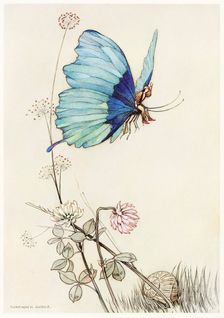 The Butterfly Took Wing, and Mounted Into the Air with little Tom on his Back, from The Fairy Book,1 Creator: Warwick Goble (1862 - 1943)