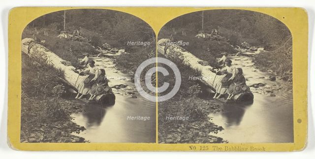 The Babbling Brook, 1855/75. Creators: Kilburn Brothers, BW Kilburn.