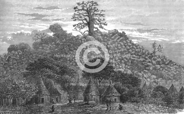 ''The Baobab Tree of Kouroundingkoto; Journey from the Senegal to the Niger', 1875. Creator: Unknown.