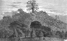 'The Baobab Tree of Kouroundingkoto; Journey from the Senegal to the Niger 1875. Creator: Unknown