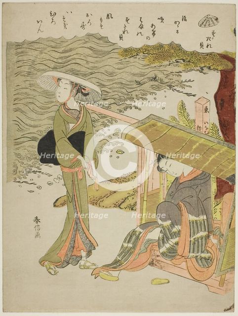 The Bamboo-Blind Shell (Sudaregai), from an untitled series of shells, c. 1769. Creator: Suzuki Harunobu.