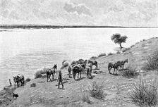 The banks of the Rio Neuquen, Argentina, 1895.Artist: Alfred Paris