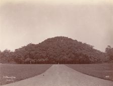 The Banyan Tree, Calcutta, 1860s-70s. Creator: Unknown