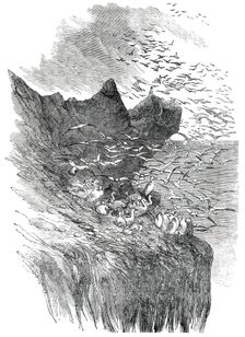 The Bass Rock, 1850. Creator: Unknown