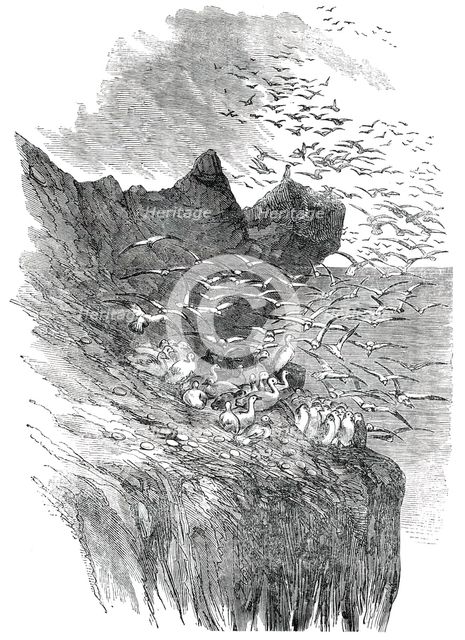 The Bass Rock, 1850. Creator: Unknown.