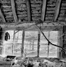 The barn at Brown's Farm, Milkingpen Lane, Old Basing, Hampshire, 1978-1980. Creator: John Gay