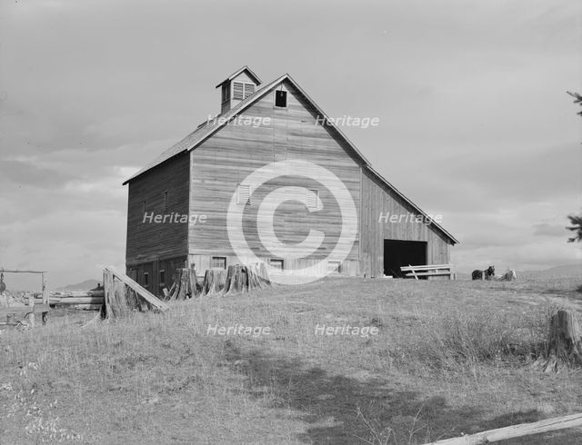 The barn of an older settler on established farm, Boundary County, Idaho, 1939. Creator: Dorothea Lange.
