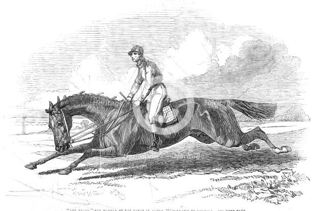 The Baron, the winner of the Great St. Leger 1845 - drawn by Herring, 1845. Creator: Unknown.