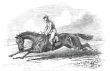 The Baron, the winner of the Great St. Leger 1845 - drawn by Herring, 1845. Creator: Unknown