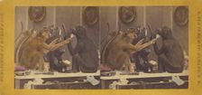 The Barber. We shave to live and live to shave., 1870. Creator: Eugene S. M. Haines