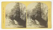 The Bath, a dripping spring in Kanab Cañon. Temperature, 69° Fahr, 1872. Creator: William H. Bell