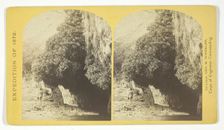 The Bath, a dripping spring in Kanab Cañon. Temperature, 69° Fahr, 1872. Creator: William H. Bell