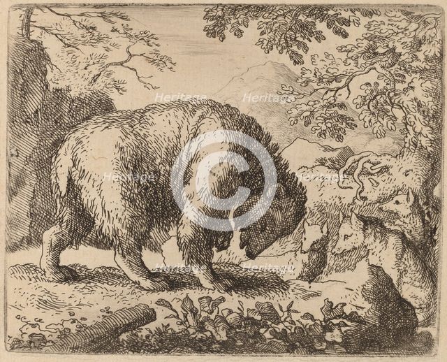The Bear Distracted with Talk of Honey, probably c. 1645/1656. Creator: Allart van Everdingen.