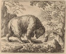 The Bear Distracted with Talk of Honey, probably c. 1645/1656. Creator: Allart van Everdingen